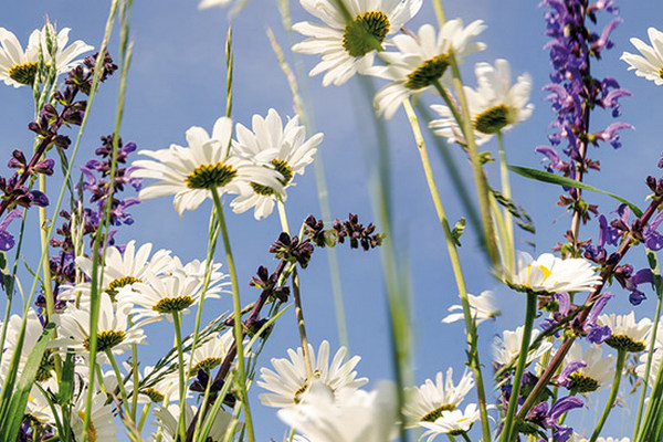 Нужны экологичные лаки? 